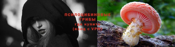крисы Арсеньев