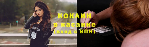 крисы Арсеньев