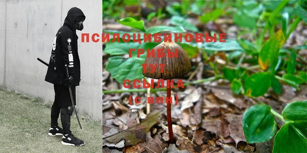 крисы Арсеньев
